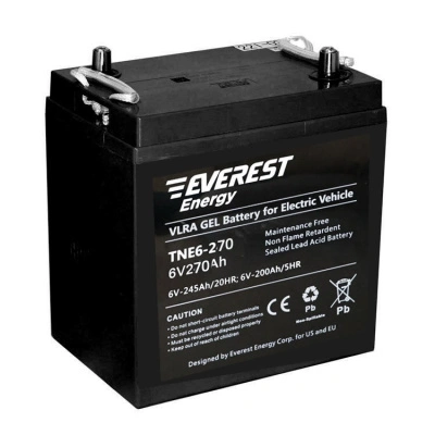 Аккумулятор Everest TNE 6-270 6v 235ah, Gel 