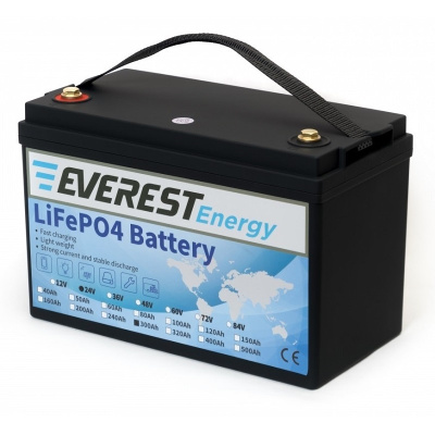 Everest Energy LFP-24V 300Аh литиевый тяговый аккумулятор 